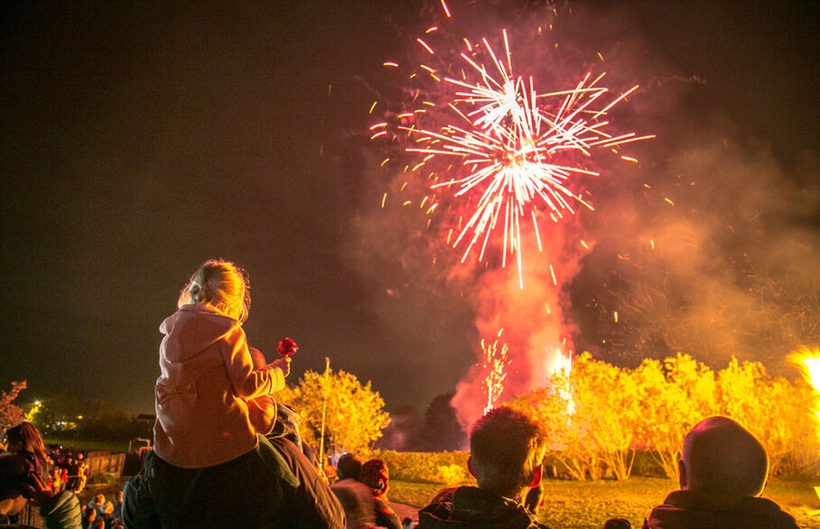 People watching fireworks