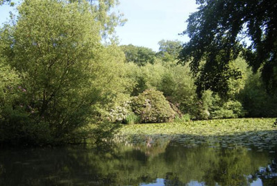 Discover Knighton Woods