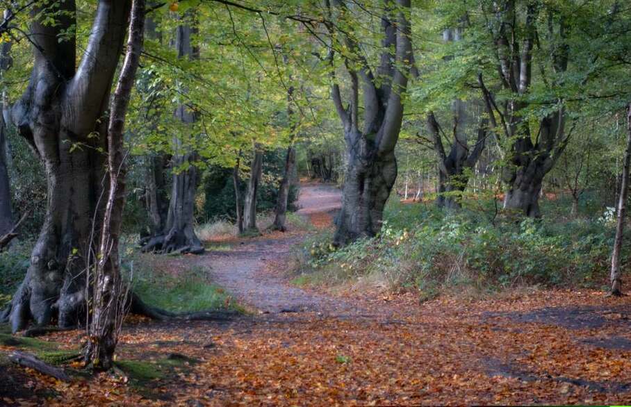 Is Chigwell a nice place to live