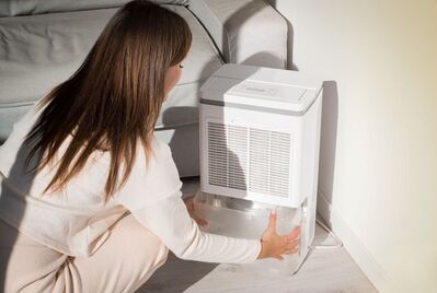 Awaab’s Law explained: what landlords need to know